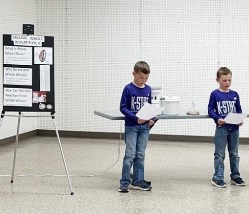 Lydia Jayhawkers 4-H Club March Minutes