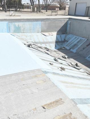 Above: The swimming pool had a rough winter.