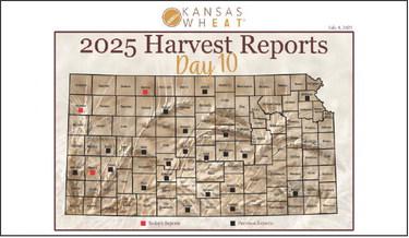 Day 10, Kansas Wheat Harvest Report