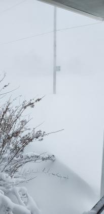 Above are views from your editor's front door around 3pm Monday. It's always a good indicator that weather is fierce when the neighbor is hard to see (left) or completely obscured (right).