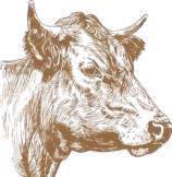 White Woman Creek Classic Livestock Show Set for May 16 in Leoti