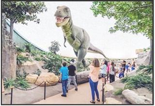 The Sternberg Museum of Natural History in Hays has a collection of more than 3 million fossils and other specimens. Courtesy photo/Fort Hays State University