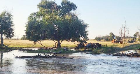 It Rained ... And the Creeks Flowed