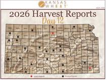 Day 12, Kansas Wheat Harvest Report