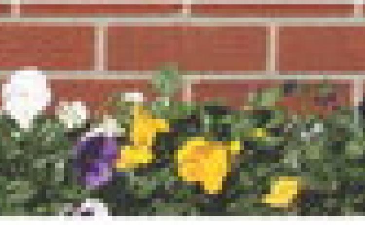 The opinions expressed on this page are those of the authors and do not necessarily reflect the beliefs or views of The Wichita County Native Sun, its management, or staff.