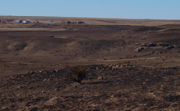 Above: Just a few of the more than 9,000 acres of pasture and crop land that was burned in Wichita County as a result of the derecho that swept across the middle of the country Wednesday, December 15.