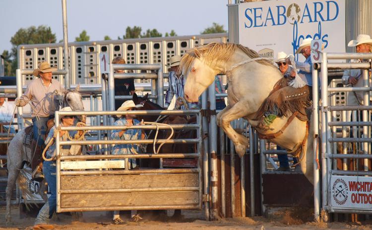 A Friday Night Rodeo Saddle Bronc Rider. Did he make 8?