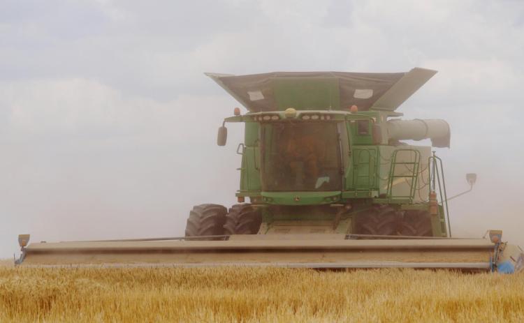 A farmer who wishes to remain unnamed harvests a field in the south part of the county on Tuesday, June 29. Photo by Dave Breitkreutz
