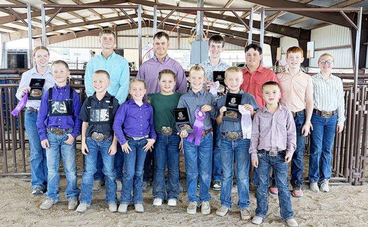 Round Robin Showmen