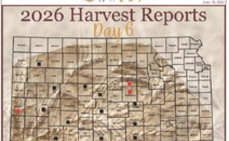 Day 6, Wheat Harvest Report