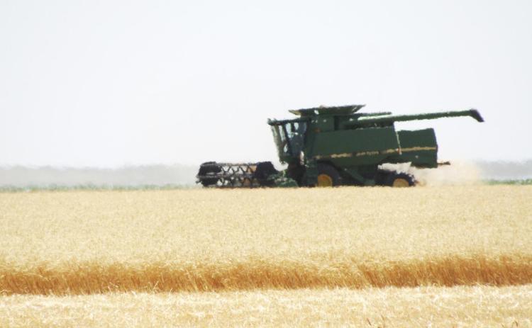 Above: Heat waves partially obscure this combine and its operator as they diligently harvest a field near the intersection of K-25 and County Road 9, Tuesday, June 30. (Staff Photo)