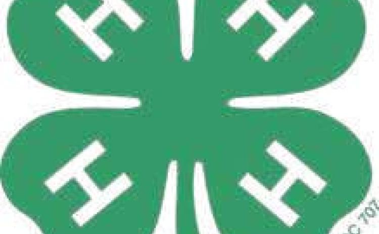 Wichita Co. 4-H’ers Compete at Regional 4-H Club Day