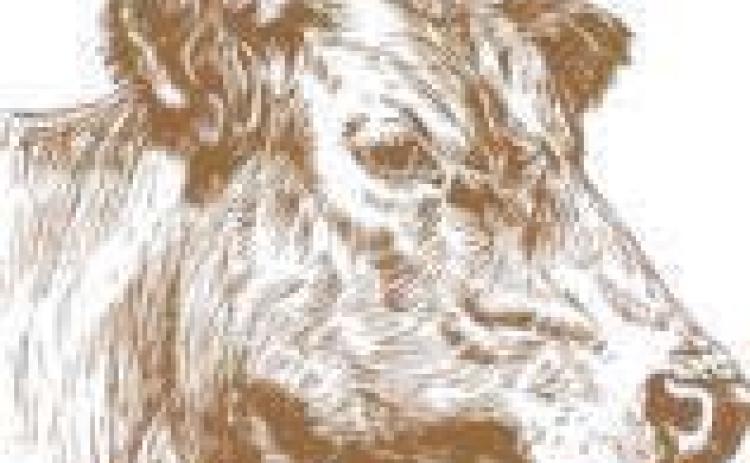 White Woman Creek Classic Livestock Show Set for May 16 in Leoti