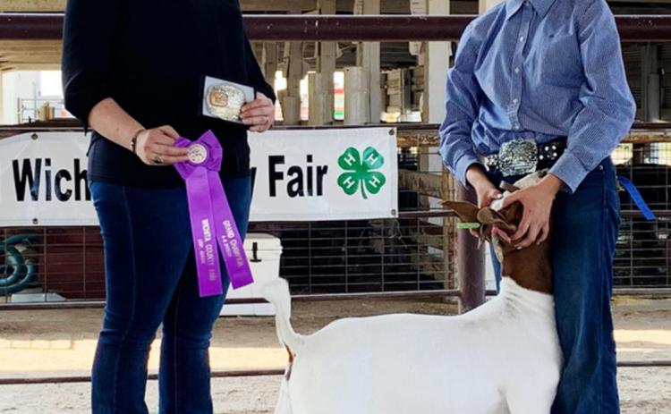 Grand Champion Market Goat