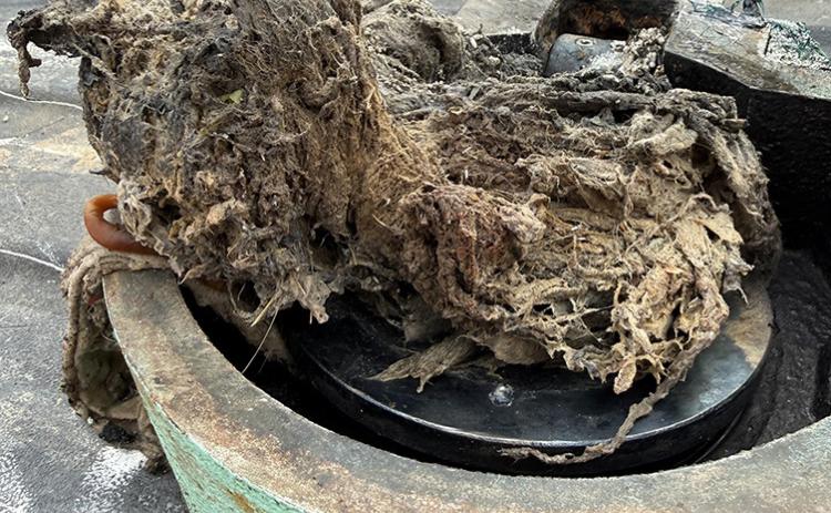 Wipes Clog Pipes