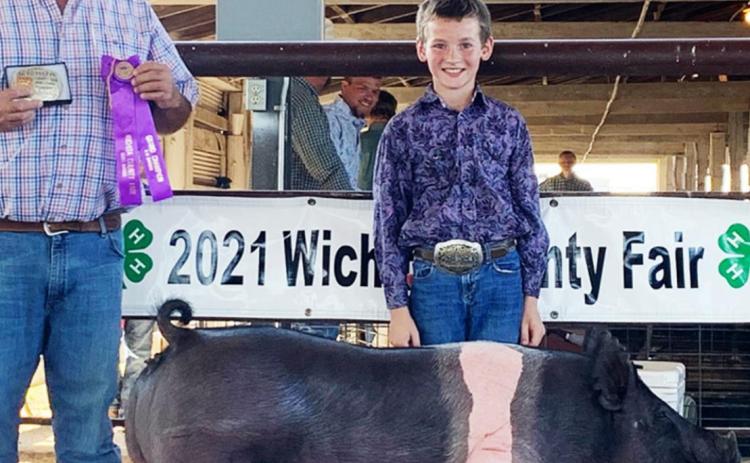 Grand Champion Breeding Gilt