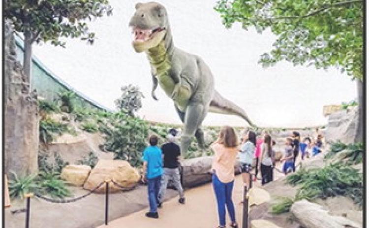 The Sternberg Museum of Natural History in Hays has a collection of more than 3 million fossils and other specimens. Courtesy photo/Fort Hays State University