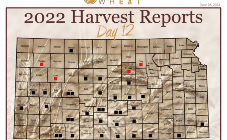 Day 12, Kansas Wheat Harvest Report