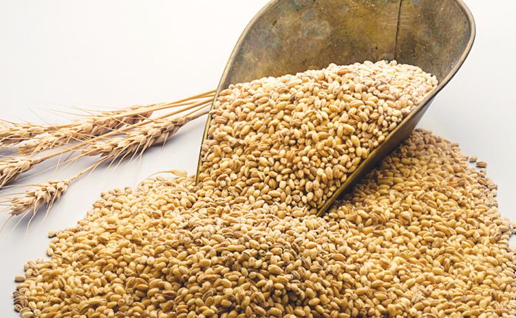 Wheat and More….or less