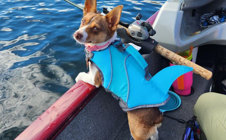 Meet R2, Reagan and Rita Smith's new rescue pup. According to Rita, Miss R2 is an enthusiastic fisher, even if she isn't quite sure what to do with the fish once they're in the boat. (provided)