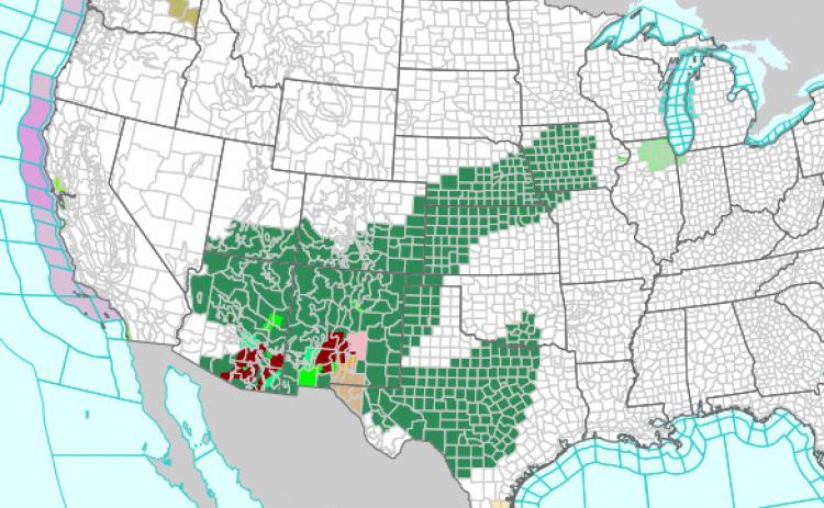 In this graphic from the National Weather Service, the dark green shows a the vast area of Flood Watch.