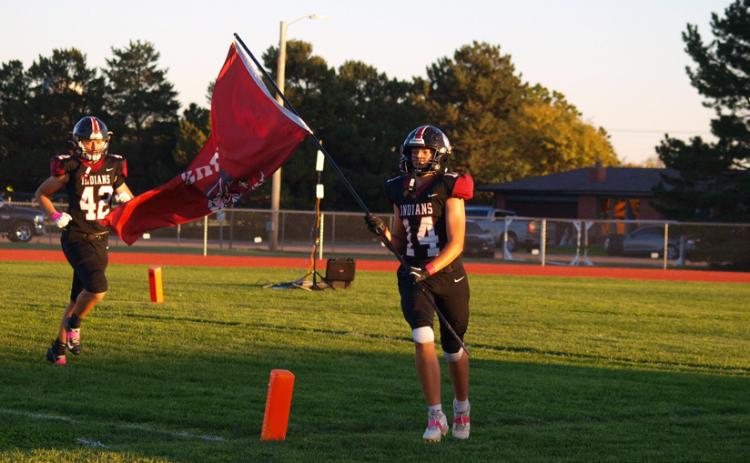 Indians Take Down Larks