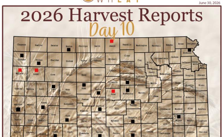 Day 10, Kansas Wheat Harvest Report