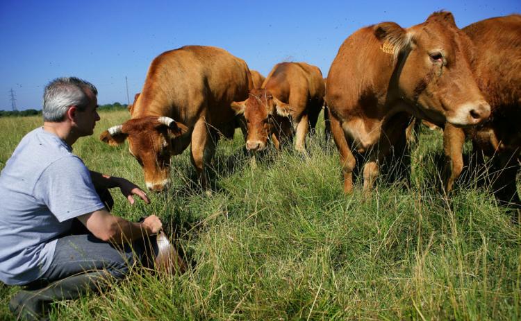 Livestock Investigations Special Agent to give briefing in Leoti