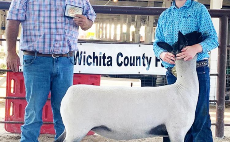 Grand Champion Breeding Ewe