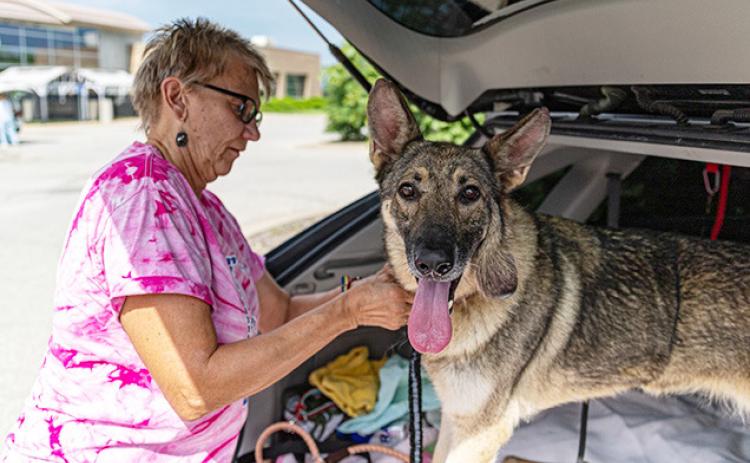 Linda Ruzich and a dog from the Kansas Humane Society prepare for a drive to Topeka for a specialist vet visit. Zachary Ruth/KMUW