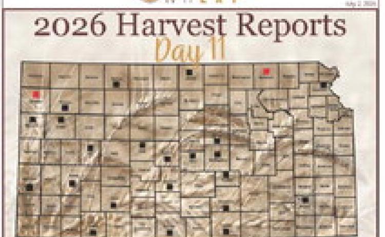Day 11, Kansas Wheat Harvest Report