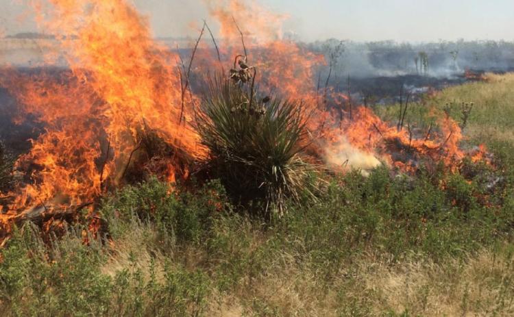 Prescribed fires during the growing season -- generally July through September in Kansas -- can provide benefits for land managers and public safety.