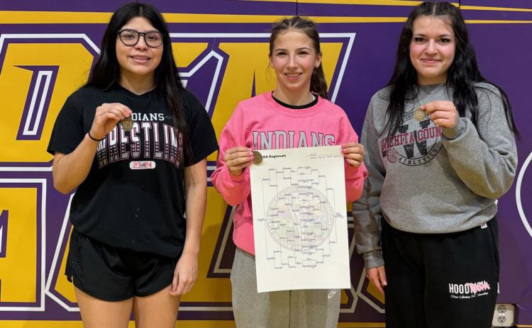 Lady Indians Advance to State Wrestling