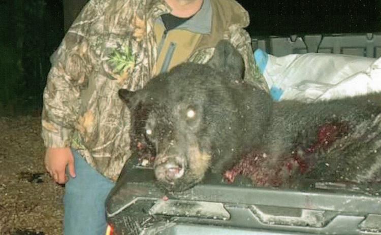 Dylon Molz caught a black bear in North Carolina in October. He is the son of Russell and Carol (Ventsam) Molz of Kiowa, Kansas.