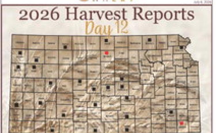 Day 12, Kansas Wheat Harvest Report