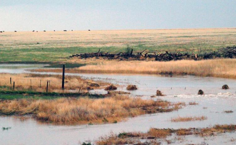 Top Left: Sand Creek looking West from K-25.