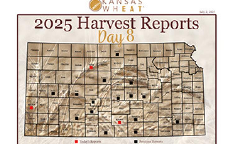 Day 8, Kansas Wheat Harvest Report 2025