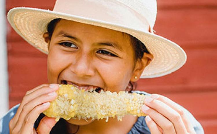 Sweet corn is one of summer’s favorite treat for many.