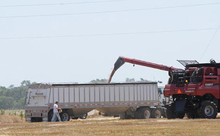 Net farm income for Kansas grain farms increased by 39% in 2021, though not all farms saw a profit.
