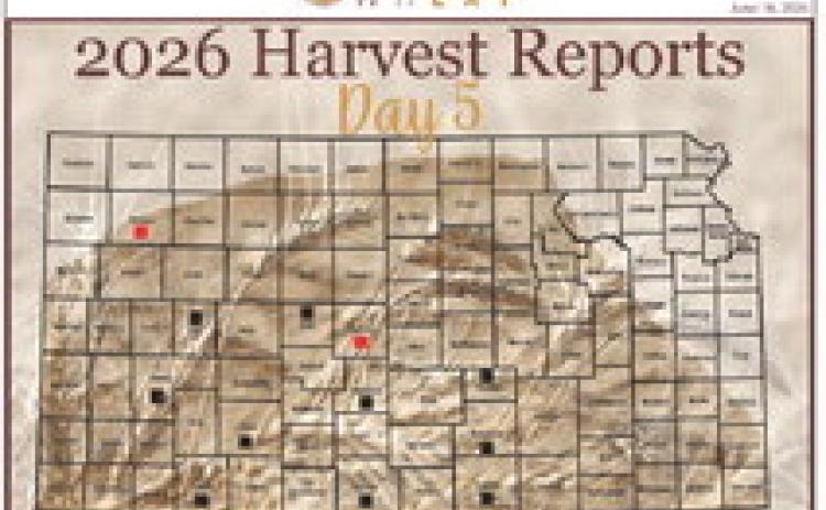 Day 5, Kansas Wheat Harvest Report
