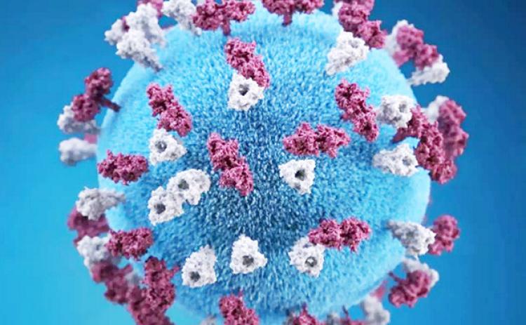 One Case of Measles Confirmed in a Kansas Resident