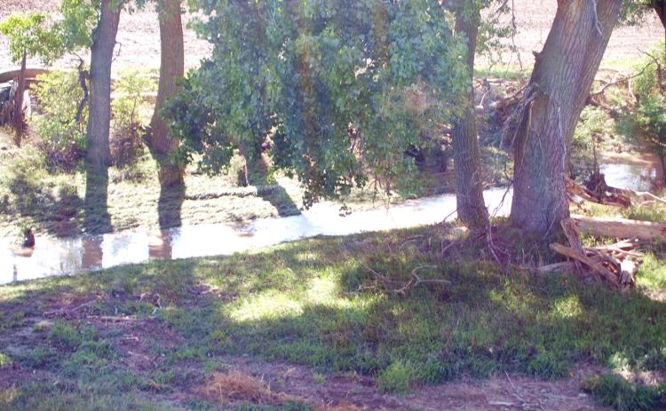 South of town, the two old creek beds, White Woman and Sand, are usually dry. When there’s actually been enough rain to make them run again, it feels like an extra special treat. Photos on this page by Dave Breitkreutz