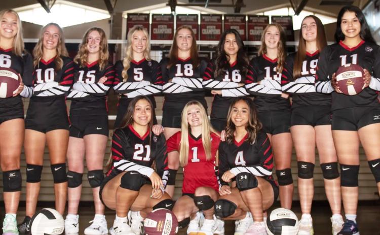 Successful Volleyball Season ends at Sub-State