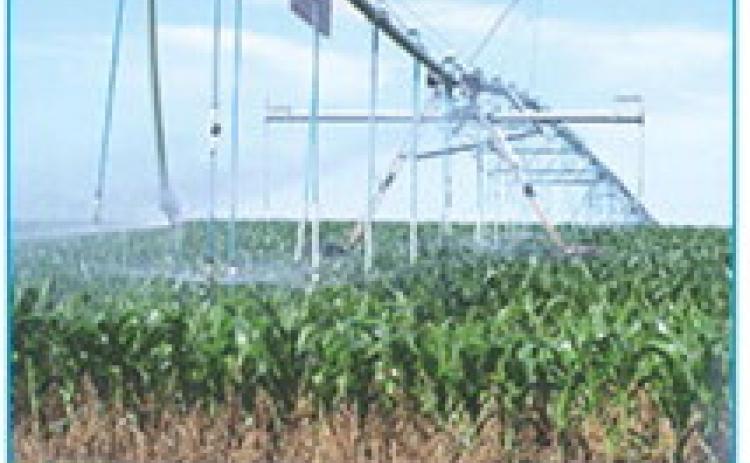 A center pivot sprinkler pumping water on crops in southwest Kansas. Calen Moore/Kansas News Service