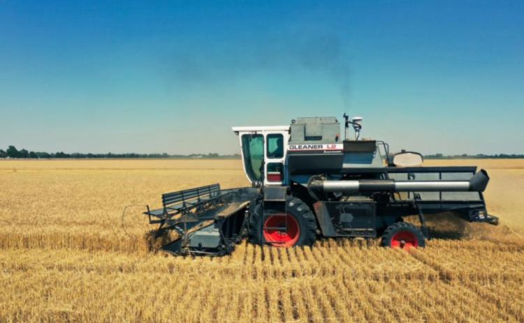 A combine harvests wheat near Mount Hope in Sedgwick County. Andrew Tade/Special to KMUW
