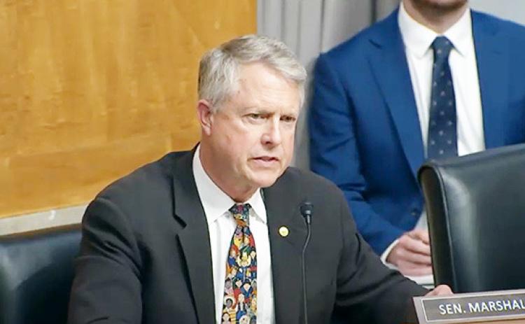 U.S. Sen. Roger Marshall, R-Kansas, delivered a series of questions to the U.S. postmaster general about delivery problems, stamp costs and other management issues hindering Postal Service performance. (Kansas Reflector screen capture of U.S. Senate’s YouTube channel)