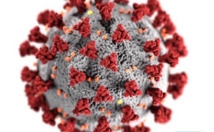 SPECIAL COVERAGE: Coronavirus Covid-19