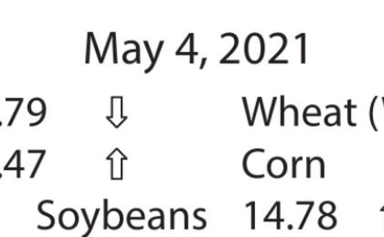 Grain Market