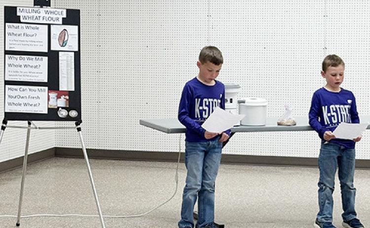 Lydia Jayhawkers 4-H Club March Minutes