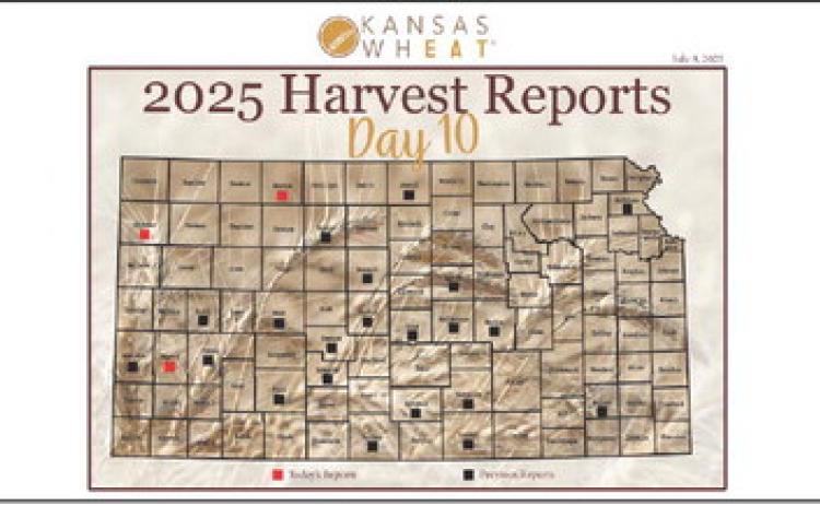 Day 10, Kansas Wheat Harvest Report